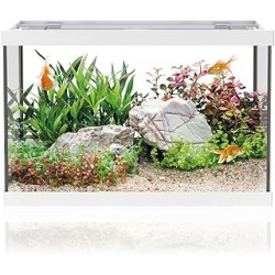 AQPET One Mini Aquarium en...